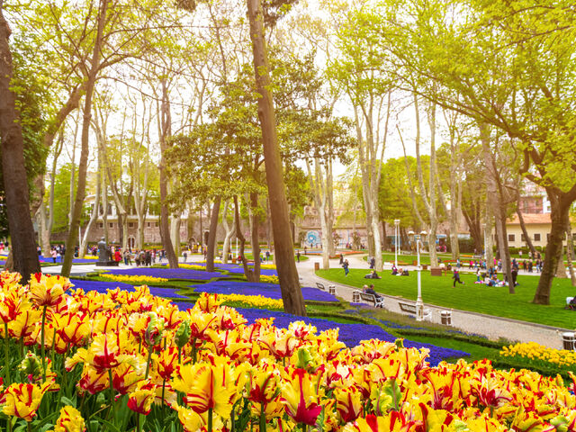 Adalar ve İstanbul Turu