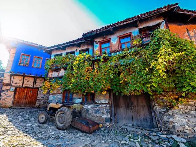 Cumalıkızık Tirilye Mudanya Gölyazı Turu