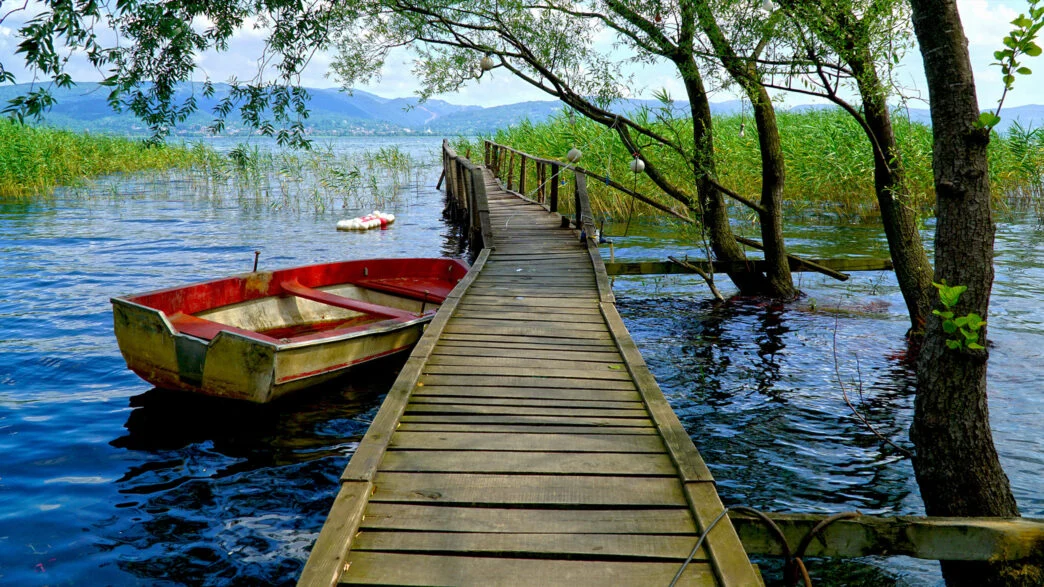Sapanca Ormanya Maşukişye Turu